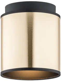 Argon Spot większy 1X15W E27 HERMAN 4247  4247 - Lampy sufitowe - miniaturka - grafika 2