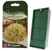 Kiełkownice i akcesoria - W.LEGUTKO Kiełkownica mała z nasionami MIESZANKA FRANCUSKA 10 x 16 x 3 cm W.LEGUTKO - miniaturka - grafika 1