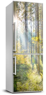 Naklejka Tapeta na lodówkę Słońce w lesie - Naklejki na drzwi i meble - miniaturka - grafika 4