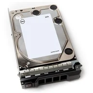 Dyski serwerowe - Dell Dysk serwerowy 1TB 7.2K SATA 6Gbps Non Hot-Plug (400-BGEB) 400-BGEB - miniaturka - grafika 1