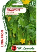 Nasiona i cebule - Legutko Ogórek gruntowy konserwowy pod osłony BRAWO F1 PROFI - miniaturka - grafika 1