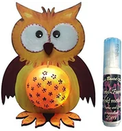 Lampy stojące - Petra's Bastel News Petra's Bastel-News A-leu4318 °F zestaw do majsterkowania, "Sowa", można używać jako skarbonka lub oświetlenie nocne, łącznie z kulką akrylową i satyny leuchti kolorze do modelowania A-LEU4318F - miniaturka - grafika 1