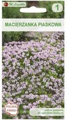 Nasiona i cebule - Legutko Macierzanka piaskowa ROZOWA - miniaturka - grafika 1