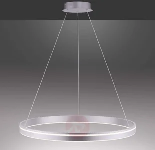 Paul Neuhaus Inteligentna lampa wisząca stal 79 cm z pilotem - Ronith - Systemy inteligentnych domów - miniaturka - grafika 4