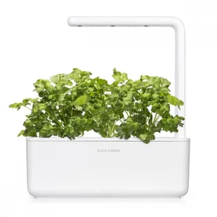 CLICK AND GROW Click And Grow Kapsułki roślinne Click and Grow Plant Pods Kolendra 3-Pack SGR45x3 4742793008417 - Systemy inteligentnych domów - miniaturka - grafika 4