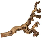 Dekoracje do terrarium - Trixie Winogrona piaskowane, 5 sztuk 76170 - miniaturka - grafika 1