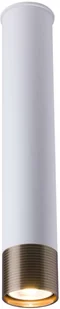 Amplex LAMPA sufitowa EIDO 0353 metalowa OPRAWA okrągła tuba downlight patyna biały 0353 - Lampy sufitowe Amplex LAMPA sufitowa EIDO 0353 metalowa OPRAWA okrągła tuba downlight patyna biały 0353 - Lampy sufitowe - miniaturka - grafika 1