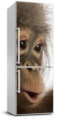 Naklejki na drzwi i meble - Naklejka okleina lodówkę Młody orangutan - miniaturka - grafika 1