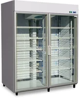 Szafy i witryny chłodnicze - Igloo Szafa mroźnicza przeszklona OLA 2 AG M GASTRO OL100.2/AG/M/GASTRO - miniaturka - grafika 1