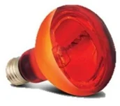 Terraria - Arcadia sbr50 basking Solar Infra-Red lampa ciepła - miniaturka - grafika 1