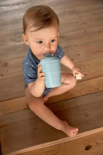 Lassig Kubek z silikonową pokrywką z dziubkiem Little Chums Pies solution-bc-7419-0 - Miseczki i talerzyki dla dzieci - miniaturka - grafika 11