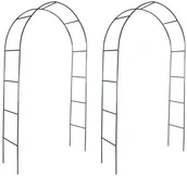 Kratki i pergole - vidaXL vidaXL Pergola ogrodowa, łuk dla pnącz (2 szt) - miniaturka - grafika 1