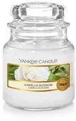 Świece - Yankee Candle CAMELIA BLOSSOM mały słoik 104g - miniaturka - grafika 1
