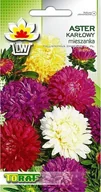 Nasiona i cebule - Toraf KWIATY Aster karłowy mix nasiona 1g 00325 - miniaturka - grafika 1