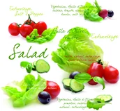 Folia, papier śniadaniowy, serwetki - Nuova R2S R2S Serwetki stołowe R2S 20 szt 414 SLD - miniaturka - grafika 1