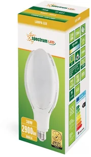 Spectrum SpectrumLED Led Parisienne 30w E-27 Ip20 Nw WOJ+80720 - Żarówki LED - miniaturka - grafika 2