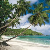 Fototapety - Fototapeta Seychellen 368 x 254 cm SD308 - miniaturka - grafika 1