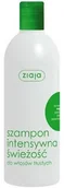 Szampony do włosów - Ziaja Szampon intensywna świeżość do włosów tłustych 400ml 54539-uniw - miniaturka - grafika 1