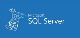 Microsoft MicrosoftSQLServerStandardEdition 2019 Government OLP 1License 228-11487 - Oprogramowanie serwerowe Microsoft MicrosoftSQLServerStandardEdition 2019 Government OLP 1License 228-11487 - Oprogramowanie serwerowe - miniaturka - grafika 1