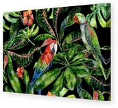 Obrazy i zdjęcia - Dekoria Obraz na płótnie Tropical Birds 100 x 70 cm 186-000-15 - miniaturka - grafika 1