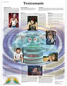 Pozostałe kosmetyki - 3B Scientific anatomiczne krojenia VR2781UU - miniaturka - grafika 1