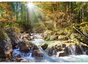 Castorland Słoneczny Potok Leśny 200382 - Puzzle - miniaturka - grafika 3