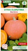 Nasiona i cebule - Legutko Dynia olbrzymia Bambino pomarańczowa nasiona W.Legutko - miniaturka - grafika 1
