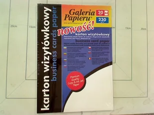 Galeria Papieru Papier ozdobny ARGO 230g. - linie biały (201901) - Papier do drukarek - miniaturka - grafika 2