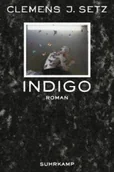 Pozostałe książki - Suhrkamp Clemens J. Setz - Indigo - miniaturka - grafika 1