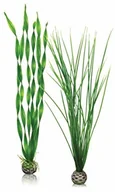 Dekoracje do akwarium - Oase Reef One zestaw roślin, zielony - miniaturka - grafika 1