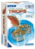 Zabawki kreatywne - Clementoni Science & Game-Triops Grow 0619207 - miniaturka - grafika 1