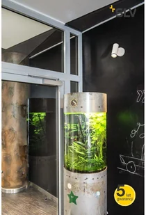 Spotline SLV Oprawa sufitowa natynkowa LED NUMINOS SPOT PHASE S 3000 K 60° 1004112 - Lampy pozostałe Spotline SLV Oprawa sufitowa natynkowa LED NUMINOS SPOT PHASE S 3000 K 60° 1004112 - Lampy pozostałe - miniaturka - grafika 2