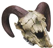 Dekoracje do akwarium - Nobby 28252 akwarium dekoracja Aqua ozdoby "baran scaedel" L-17.5 X szer. 16 X wys. 9.5 cm - miniaturka - grafika 1