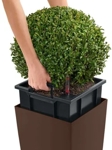 Lechuza Donica Cubico Color 30 ALL-IN-ONE, muszkatołowa, 13133 - Donice - miniaturka - grafika 2