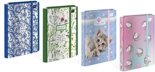 Interdruk Teczka z gumką A4 twarda Girls - Teczki i skoroszyty - miniaturka - grafika 2