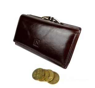 Nicole Portfel Damski Skórzany 14 cm Klamra Skóra Naturalna Z Klapką - Portfele - miniaturka - grafika 4