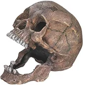 Dekoracje do akwarium - Nobby Akwarium dekoracja Aqua ozdoby "trupia czaszka"; l13,5 X B20 x h16,5 CM - miniaturka - grafika 1