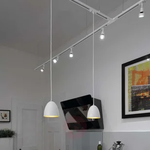 Spotline Lampa wisząca do szyny 1-f PARA CONE 14 Biały/ złota (143991) - - Lampy sufitowe - miniaturka - grafika 3