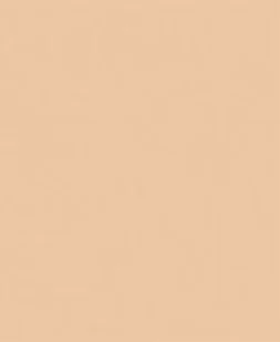 Bourjois 123 Perfect Foundation Korygujący podkład do twarzy 52 Vanilla 1234569117 - Podkłady do twarzy - miniaturka - grafika 2