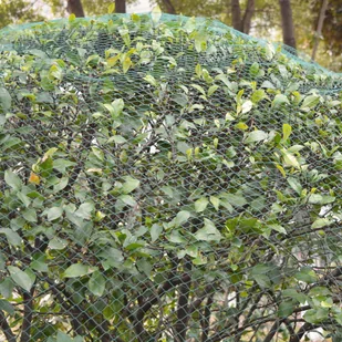 vidaXL vidaXL Siatka ochronna przeciw ptakom 2 szt. 6x6m PE - Zwalczanie i odstraszanie szkodników - miniaturka - grafika 5