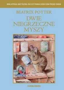 Dwie niegrzeczne myszy - Literatura popularno naukowa dla młodzieży Dwie niegrzeczne myszy - Literatura popularno naukowa dla młodzieży - miniaturka - grafika 2