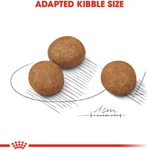 Royal Canin Maxi Junior 4 kg - Sucha karma dla psów - miniaturka - grafika 3