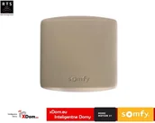 Akcesoria do bram - SOMFY Somfy 1841022 standardowy odbiornik RTS 1841022 - miniaturka - grafika 1