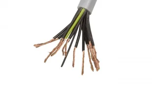 LappKabel Przewód sterowniczy OLFLEX CLASSIC 110 16G1 300/500V (1119216) - Przewody elektryczne - miniaturka - grafika 2