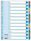 Przekładki do segregatorów - Esselte PRZEKŁADKI KARTONOWE MYLAR A4 1-12 - miniaturka - grafika 1