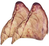 Przysmaki dla psów - MACED Maced Ucho wieprzowe duże 1szt. - miniaturka - grafika 1