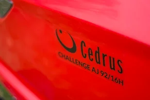 Cedrus AJ92/16H (S536027047703) - Kosiarki traktorki - miniaturka - grafika 3