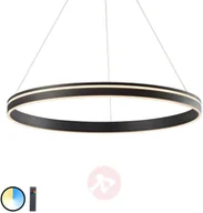 Systemy inteligentnych domów - Paul Neuhaus Inteligentna lampa sufitowa ciemnoszara 79 cm z pilotem - Ronith - miniaturka - grafika 1