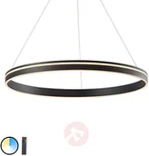 Systemy inteligentnych domów - Paul Neuhaus Inteligentna lampa sufitowa ciemnoszara 79 cm z pilotem - Ronith - miniaturka - grafika 1