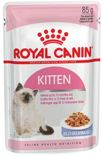 Royal Canin Kitten w galaretce Feline 24x85g saszetka 17087-uniw - Mokra karma dla kotów - miniaturka - grafika 2